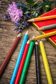 set of colored pencils and wildflowers on wooden unhewn background.Selective focus