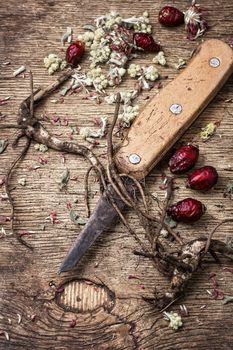 medicinal herbs and roots in dried form,as means of alternative medicine.