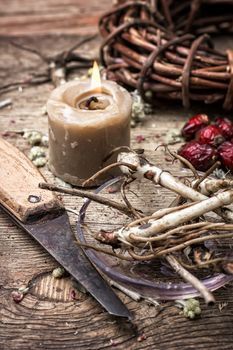 medicinal herbs and roots in dried form,as means of alternative medicine.Selective focus