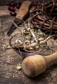 medicinal herbs and roots in dried form,as means of alternative medicine.Selective focus