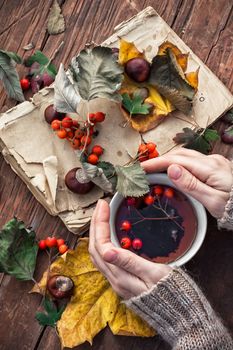 Cup with tea in hands and fallen autumn leaves on wooden table