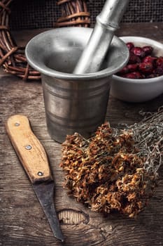 iron mortar and whisk in the background healing,harvested medicinal herbs for the winter.Selective focus