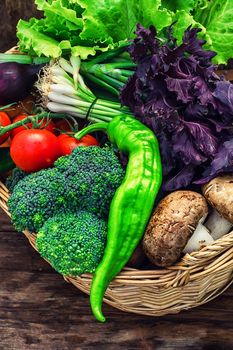 mushrooms and broccoli,leeks,lettuce, peppers in basket in rustic style.