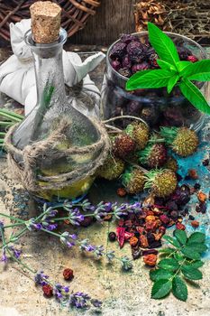 range is collected and dried medicinal herbs and plants for herbalism.Photo tinted