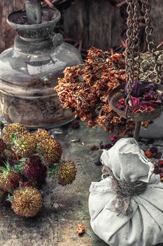 assembled the dried yield healing herbs traditional medicine and vintage kerosene lamp.Photo tinted.Selective focus