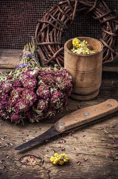 range is collected and dried medicinal herbs and plants for herbalism.Photo tinted