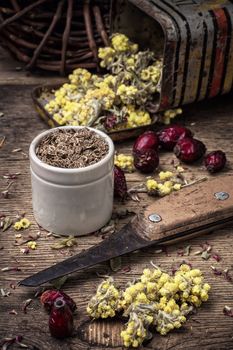 range is collected and dried medicinal herbs and plants for herbalism.