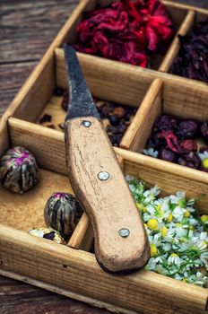 box collected in the fall of medicinal herbs for teas and medicinal teas