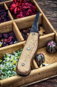 box collected in the fall of medicinal herbs for teas and medicinal teas