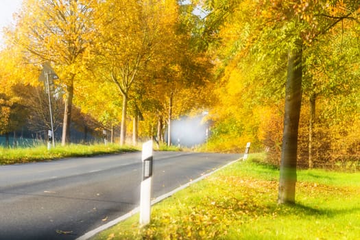 Picturesque autumn scene on a country road through an avenue.