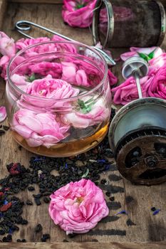 the harvest tea roses tea.The image is tinted