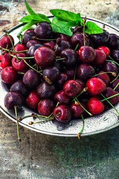 ripe large cherries in the iron bowl iron on the background in bright sunlight.The image is tinted.Selective focus