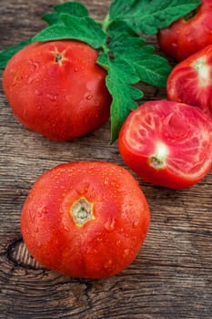 harvest of ripe tomatoes with green leaves on wooden background