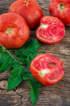 harvest of ripe tomatoes with green leaves on wooden background