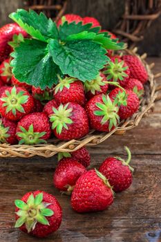 wicker basket with ripe strawberries on garden table.Selective focus