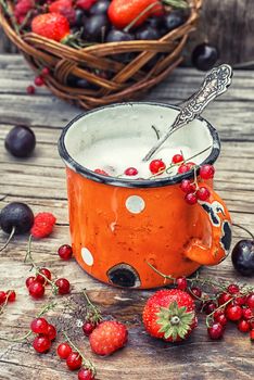 summer dessert of ice cream and fresh berries in an iron circle.Photo tinted.
