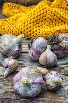 autumn harvest of garlic scattered on the wooden style.Photo tinted