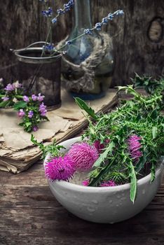 assembled the dried yield healing herbs traditional medicine and ceramic mortar.
