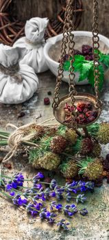 range is collected and dried medicinal herbs and plants for herbalism.Photo tinted