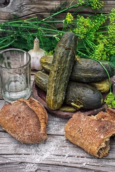 Pickled cucumbers with dill and vodka shot glass on wooden background in country style.Photo tinted.Selective focus