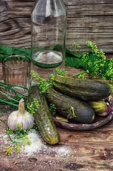 Pickled cucumbers with dill and vodka shot glass on wooden background in country style.Photo tinted.