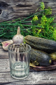 Pickled cucumbers with dill and vodka shot glass on wooden background in country style.Photo tinted.Selective focus