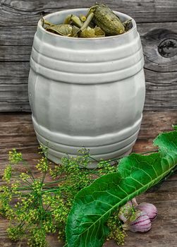 Pickled cucumbers with dill on wooden background in country style.Photo tinted.