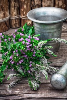 Cut bunch of cherry peppermint amid mortar in the rural style.Photo tinted.