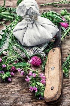 procurement of medicinal wild herbs thistle .Photo tinted.