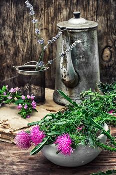 procurement of medicinal wild herbs thistle .Photo tinted.Selective focus