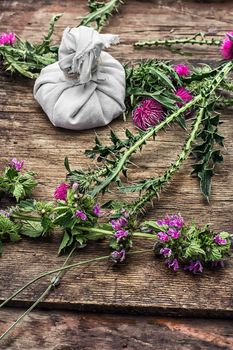 procurement of medicinal wild herbs thistle .Photo tinted.