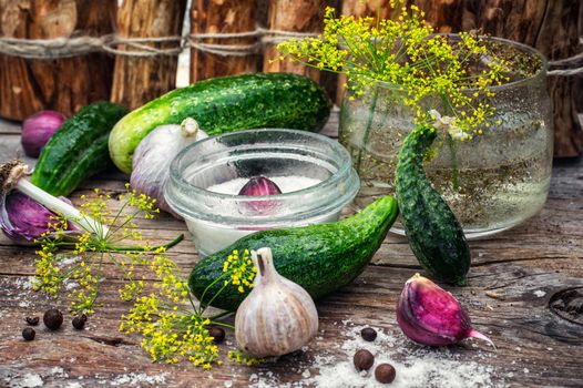 Cucumber pickled with dill and garlic on wooden table.Photo tinted.