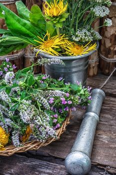 Cut bunch of cherry peppermint amid mortar in the rural style.Photo tinted.
