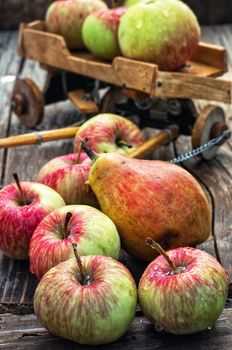 The crop of apples on wooden background on the background of the symbolic scale model of farmer's wagon.Photo tinted
