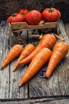 fresh carrots and fruits of tomato in the background is symbolic of  farmer's wagon