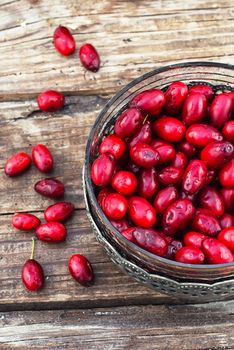 Ripe berry of the dogwood in an old vase on wooden background