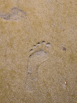 Footprint in the sand