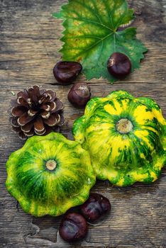 Autumn harvest squash with chestnuts and pine cones on wooden table