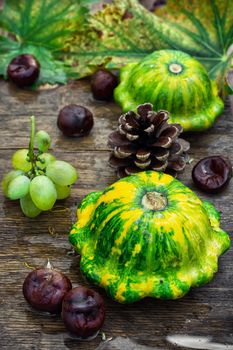 Autumn harvest squash with chestnuts and pine cones on wooden table