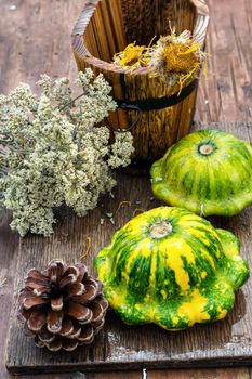 Autumn harvest squash with chestnuts and pine cones on wooden table