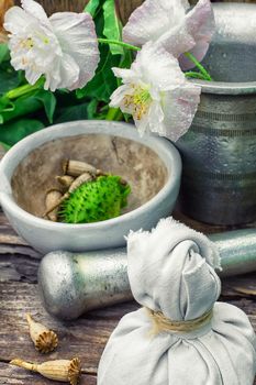 Stems of herbaceous medicinal plants genus Datura Nightshade family with poppy seeds on the background mortar with pestle.Selective focus