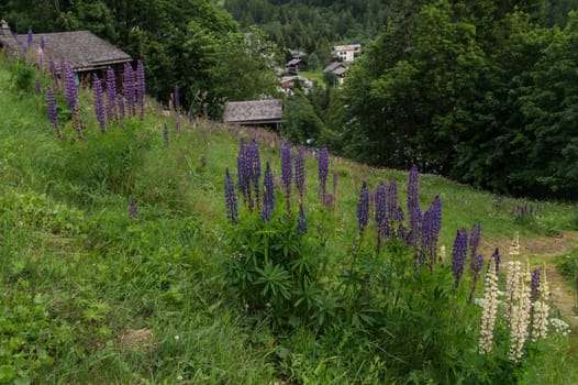 montroc,chamonix,haute savoie,france