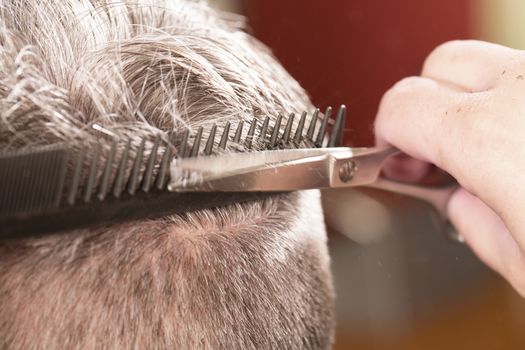 woman cuts hair with scissors, razor in  professional hairdressing salon