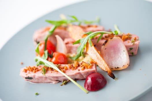Roasted duck breast in modern cuisine style with vegetable and herbs