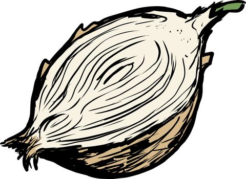 Hand drawn single raw white onion cut in half over white background