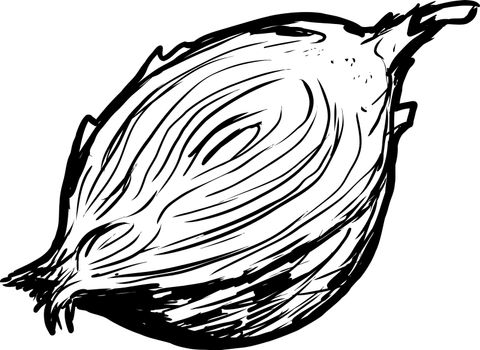 Hand drawn outline of single raw onion cut in half over white background