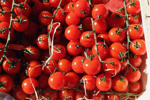 Fresh Cherry Tomatoes at Local Farm Market in Monaco