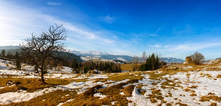 Carpathian mountain valley covered with fresh snow. Majestic landscape. Ukraine, Europe