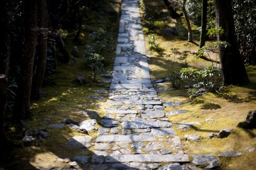 Serene Ryan-Ji path in Japan surrounded by moss and tree shadows from sunlight outdoors