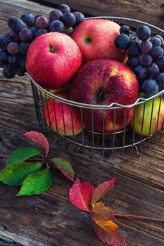 Autumn harvest of ripe grapes and red apples in stylish metal